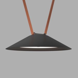 DK5664-BK Cветильник для трека-ремня Belty Smart, серия Flow, со светодиодом, D300*H71мм, 48V DC, 20W, RA90, 120°, 2700-6500K, IP20, черный, алюминий